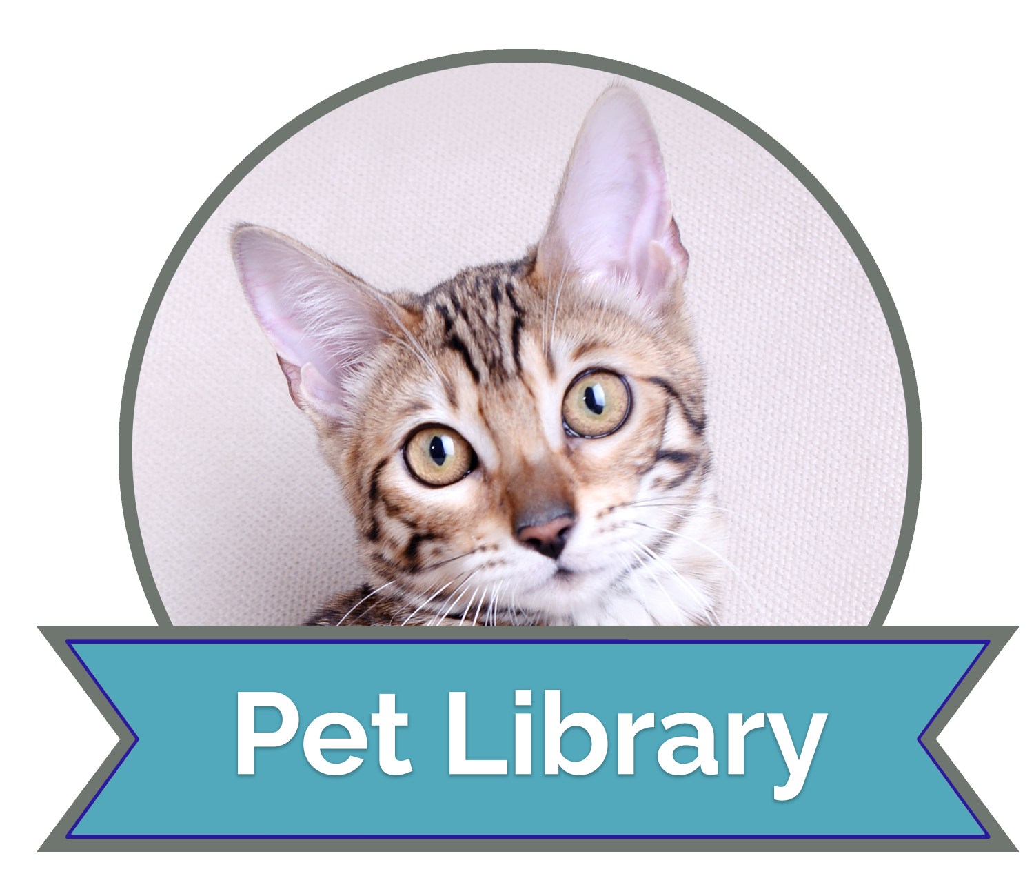 california vet hospital offers the VIN Client Information Library